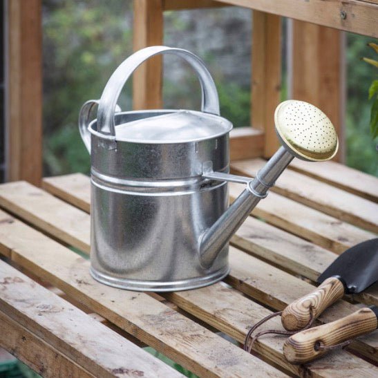 Classic Watering Can - Silver (3 Sizes) - Duck Barn Interiors
