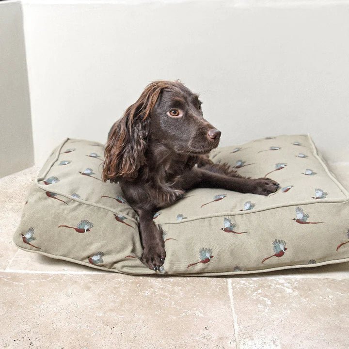 Dog bed baby mattress shop