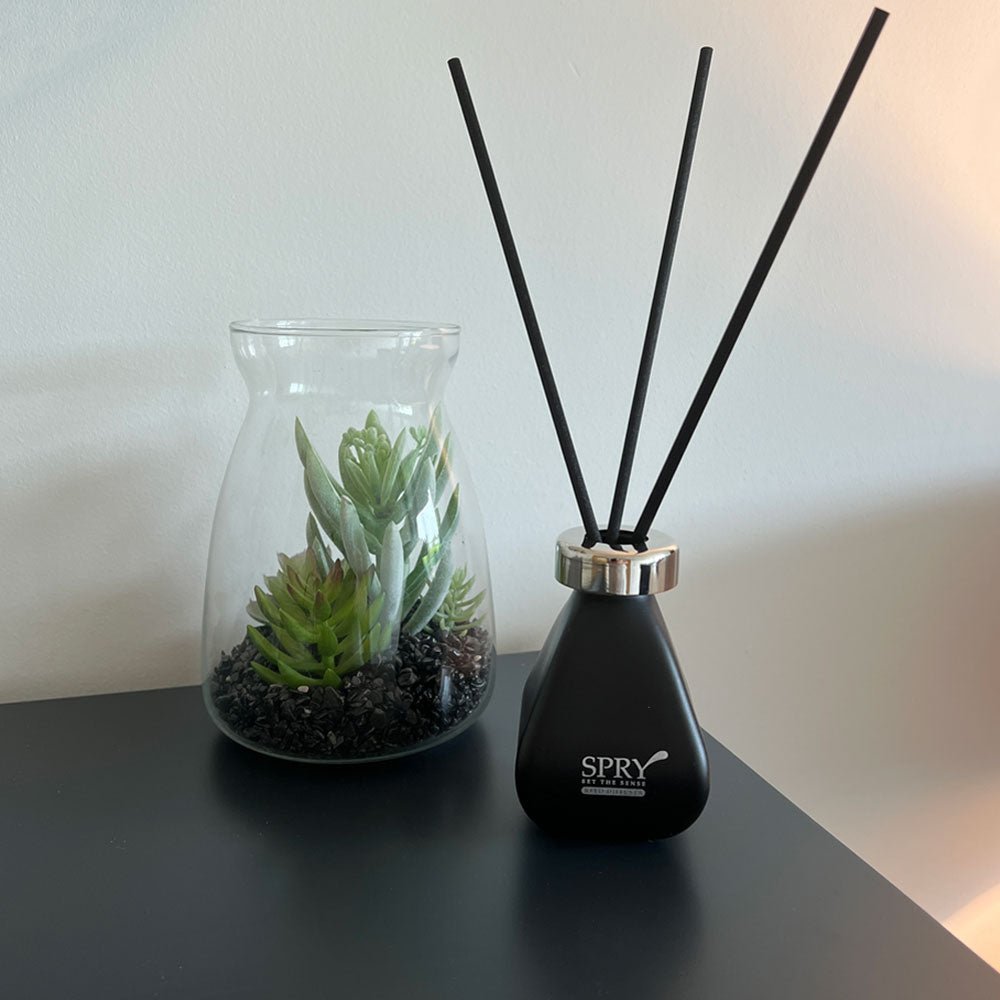 Spry Shade of Noir Reed Room Diffuser - Black Glass - Duck Barn Interiors