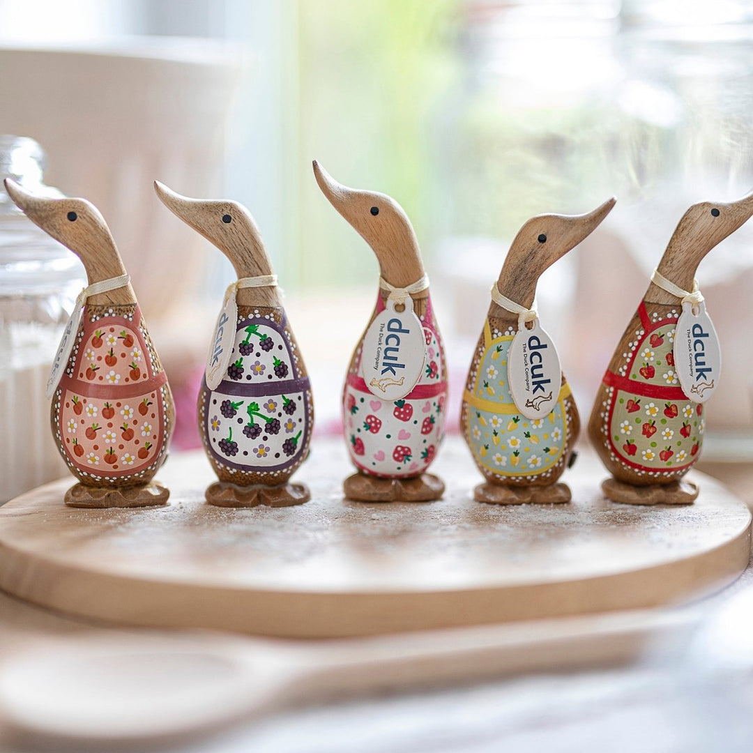 Dinky Ducks - Duck Barn Interiors