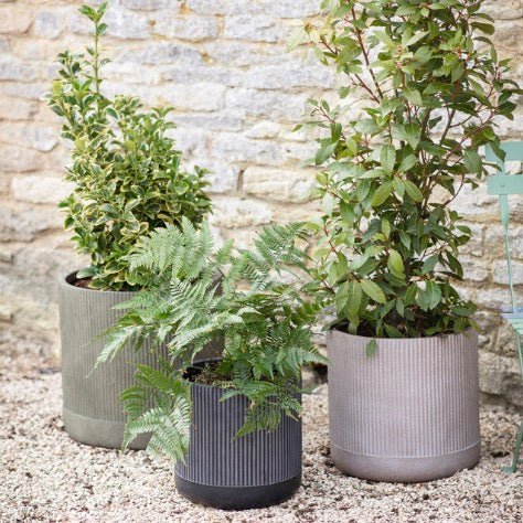 Garden Plant Pots & Planters - Duck Barn Interiors