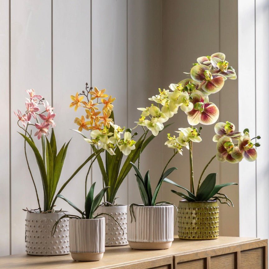 Home Accessories - New In - Duck Barn Interiors