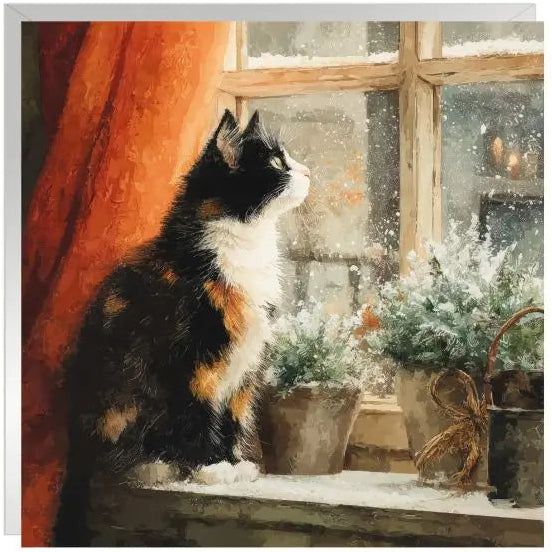 Whiskers in Winter Charity Christmas Cards - Pack of 6