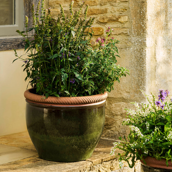 Coleshill Olive Green ceramic planter by Garden Trading, planted outdoor view