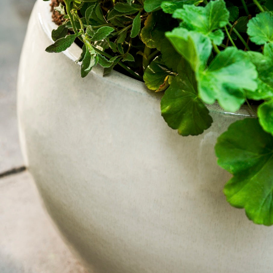Aspley Ceramic White Planter (2 Sizes)