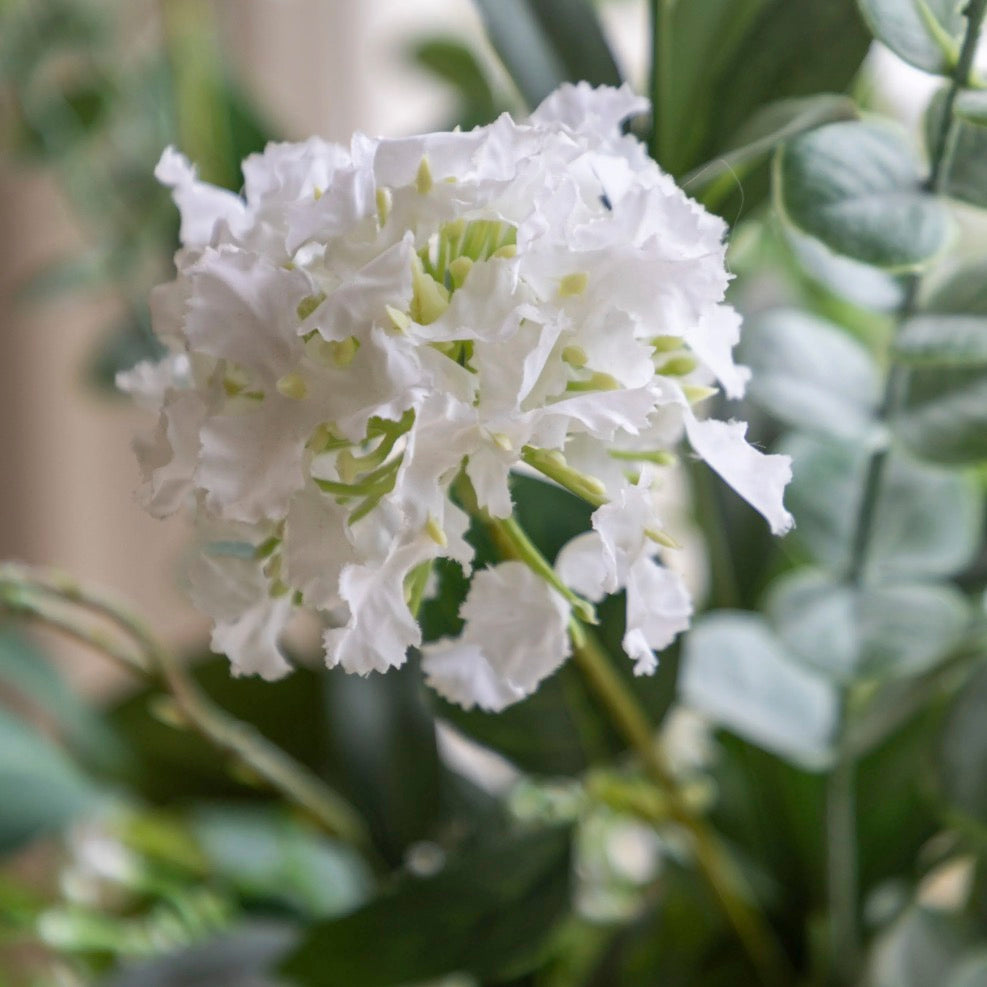 Faux Eucalytpus & Hydrangea in White Vase