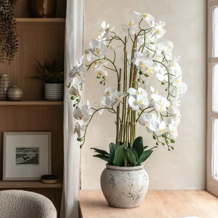 Real Touch White Orchid in Cement-Style Pot - 100cm