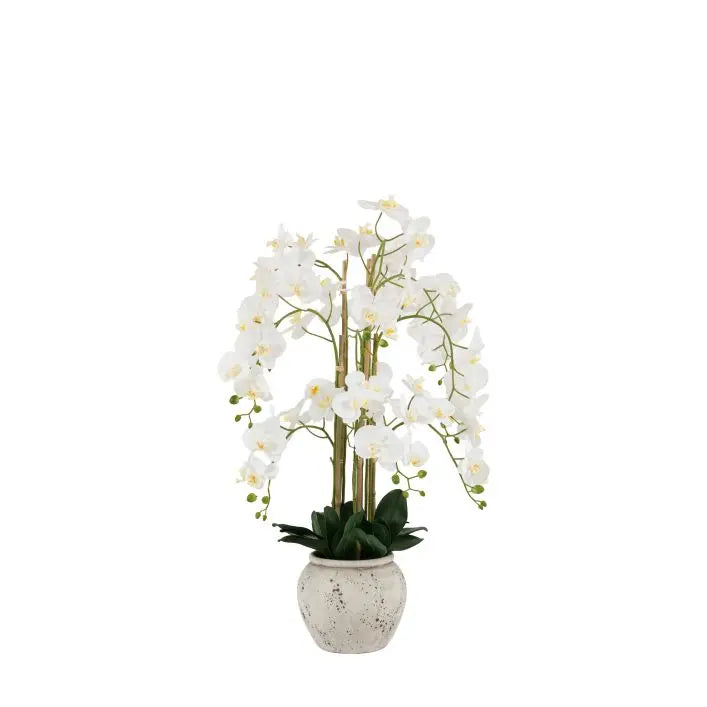 Real Touch White Orchid in Cement-Style Pot - 100cm