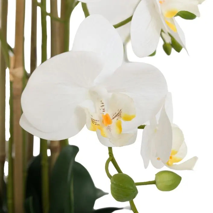 Real Touch White Orchid in Cement-Style Pot - 100cm
