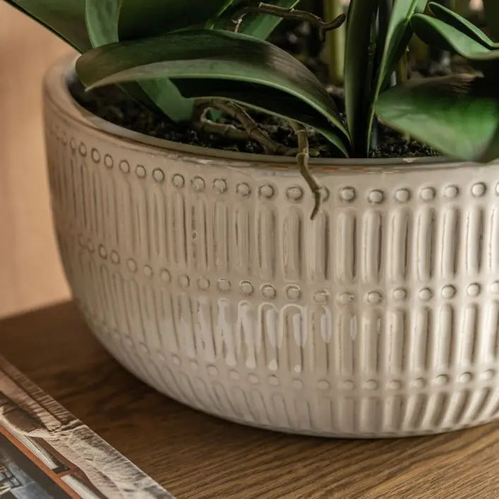 Real Touch Plum Orchid in Ceramic Ridged Pot - 85cm