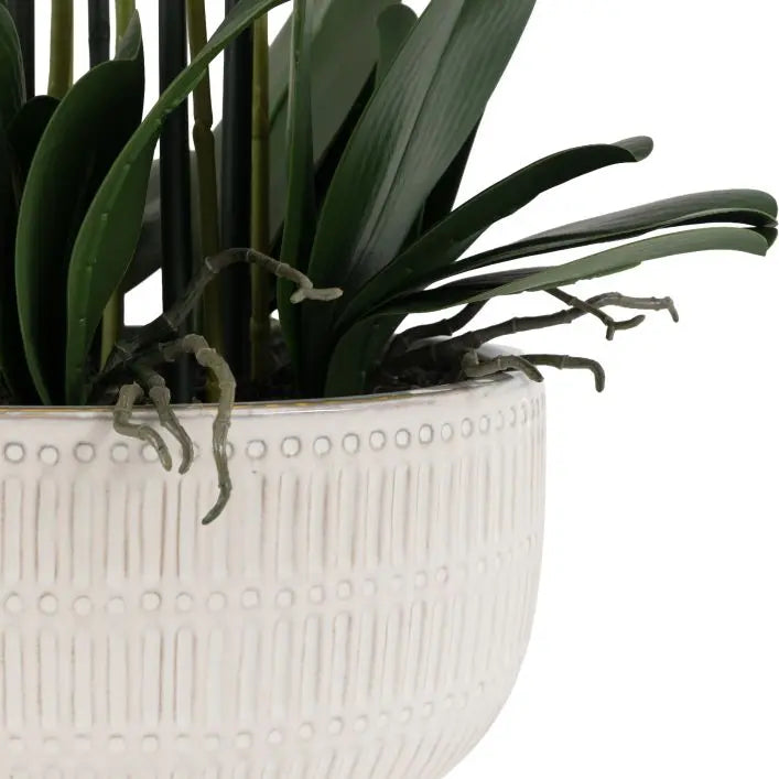 Real Touch Plum Orchid in Ceramic Ridged Pot - 85cm