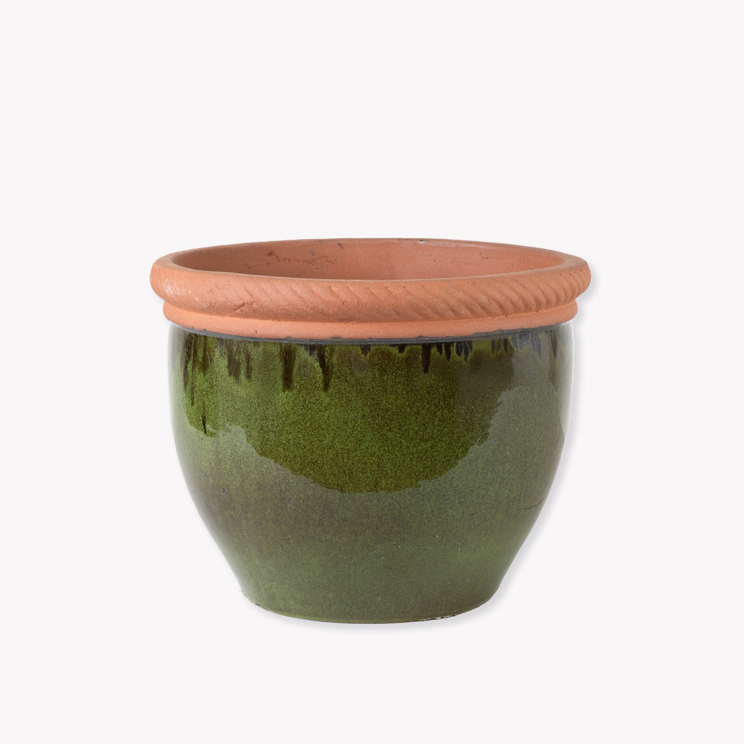 Coleshill Ceramic Planter 36cm in Olive Green by Garden Trading