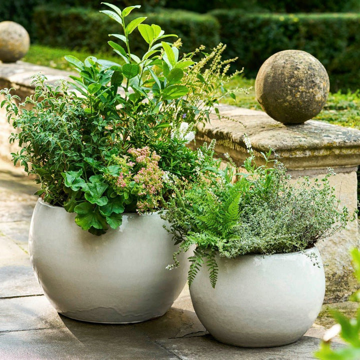 Aspley Ceramic White Planter (2 Sizes)1 - Duck Barn Interiors