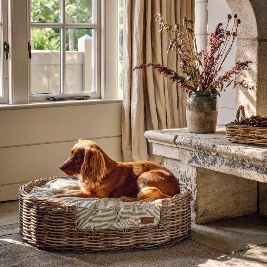 Bembridge Rattan Pet Beds - Two Sizes4 - Duck Barn Interiors