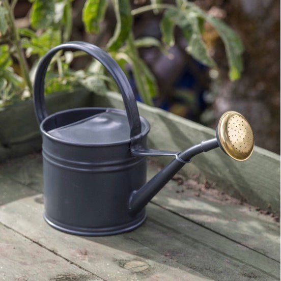 Classic Watering Can - Carbon (3 Sizes) - Duck Barn Interiors