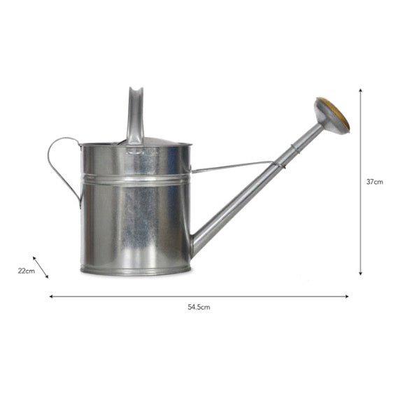 Classic Watering Can - Silver (3 Sizes) - Duck Barn Interiors