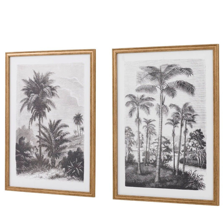 Colonial Sketches by Faye Reynolds - Lydon - Set of 26 - Duck Barn Interiors