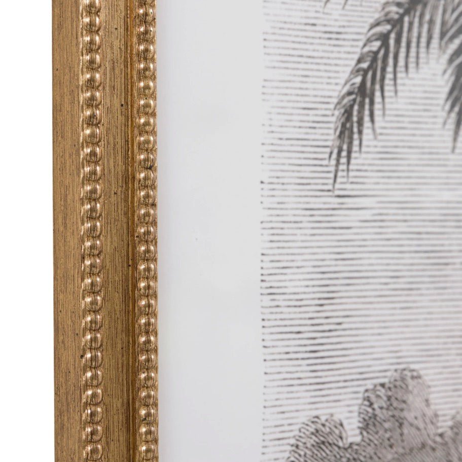 Colonial Sketches by Faye Reynolds - Lydon - Set of 28 - Duck Barn Interiors