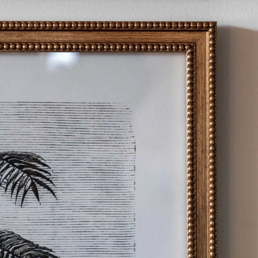 Colonial Sketches by Faye Reynolds - Lydon - Set of 24 - Duck Barn Interiors