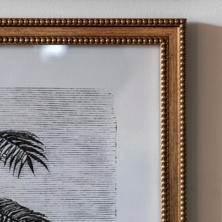 Colonial Sketches by Faye Reynolds - Lydon - Set of 24 - Duck Barn Interiors