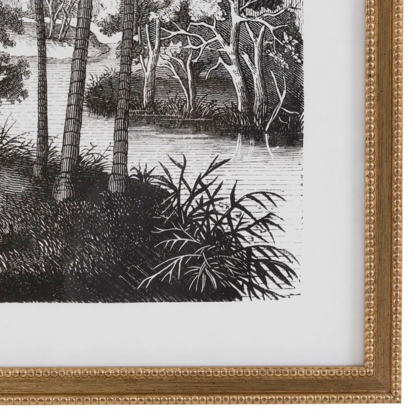 Colonial Sketches by Faye Reynolds - Lydon - Set of 29 - Duck Barn Interiors