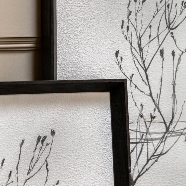 Delicate Nature by Jennifer Goldberger - Set of 22 - Duck Barn Interiors