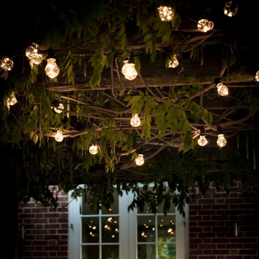 Festoon Classic Lights - Black2 - Duck Barn Interiors