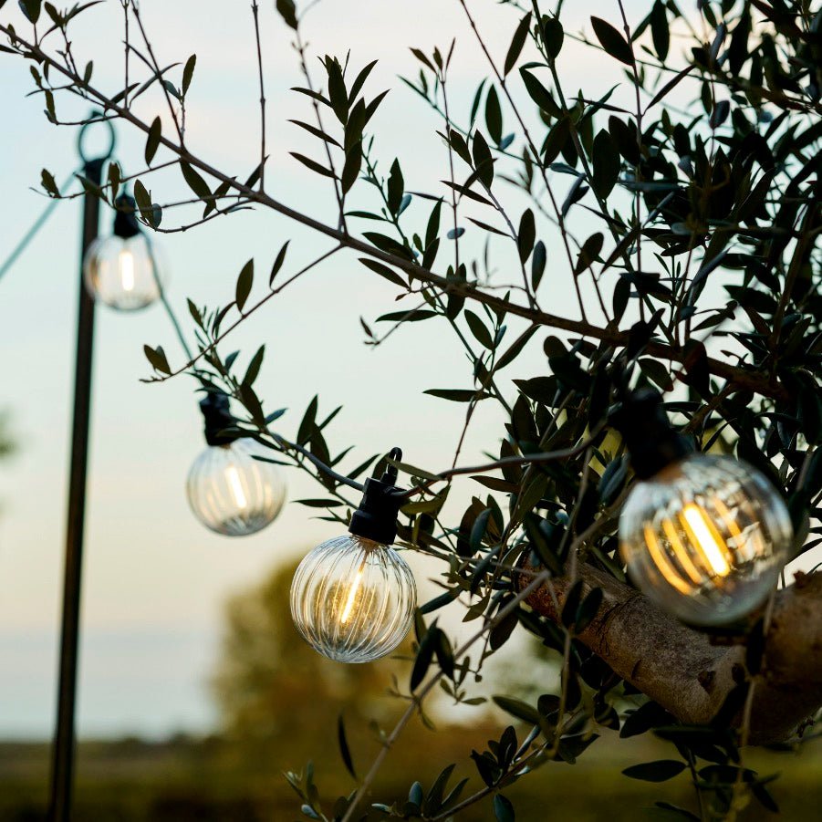Festoon Ribbed Round Lights - Black3 - Duck Barn Interiors