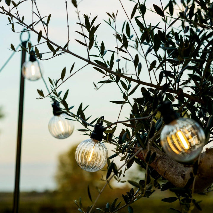 Festoon Ribbed Round Lights - Black3 - Duck Barn Interiors
