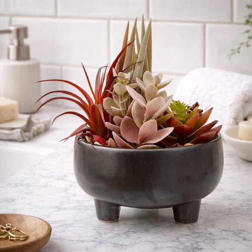 Fiori Mixed Succulents In Grey Ceramic Pot
