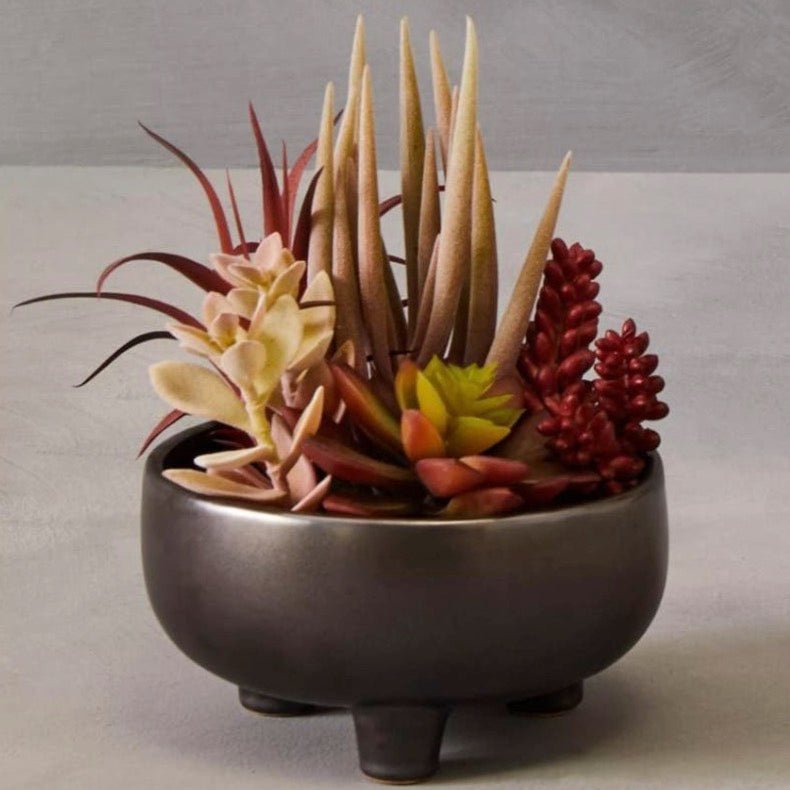 Fiori Mixed Succulents In Grey Ceramic Pot2 - Duck Barn Interiors
