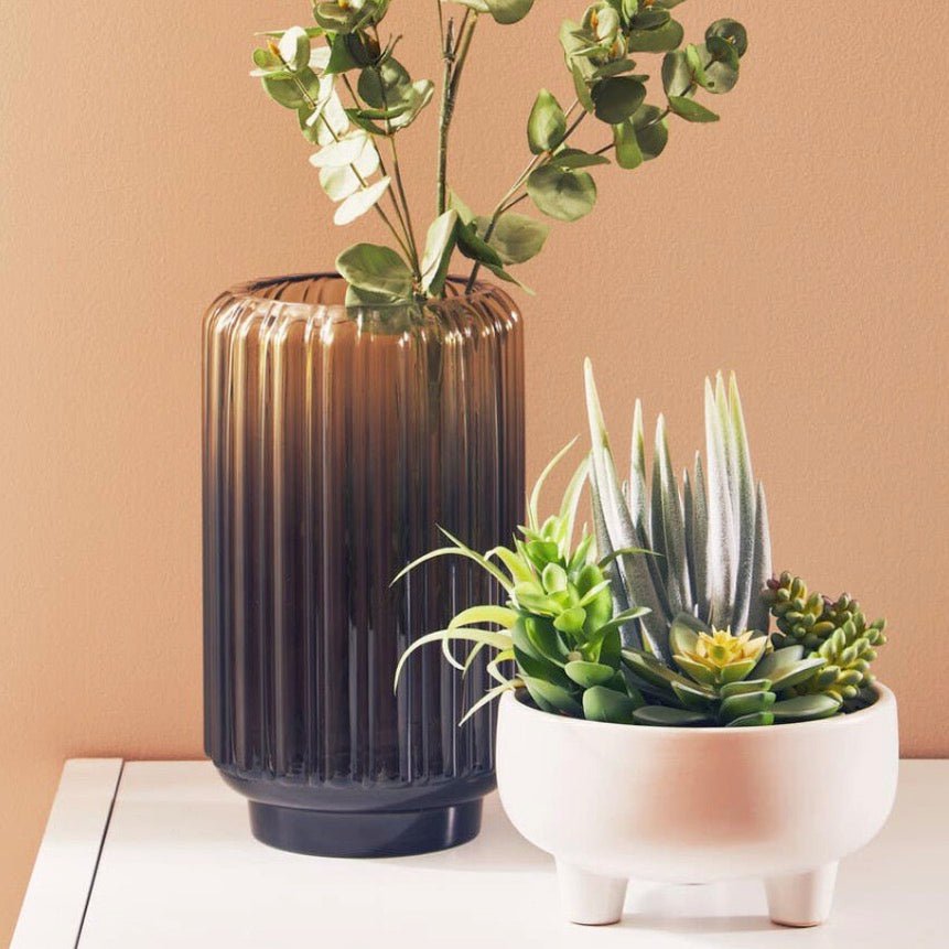 Fiori Mixed Succulents In Large Ceramic Pot4 - Duck Barn Interiors