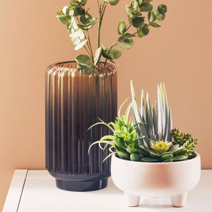 Fiori Mixed Succulents In Large Ceramic Pot4 - Duck Barn Interiors