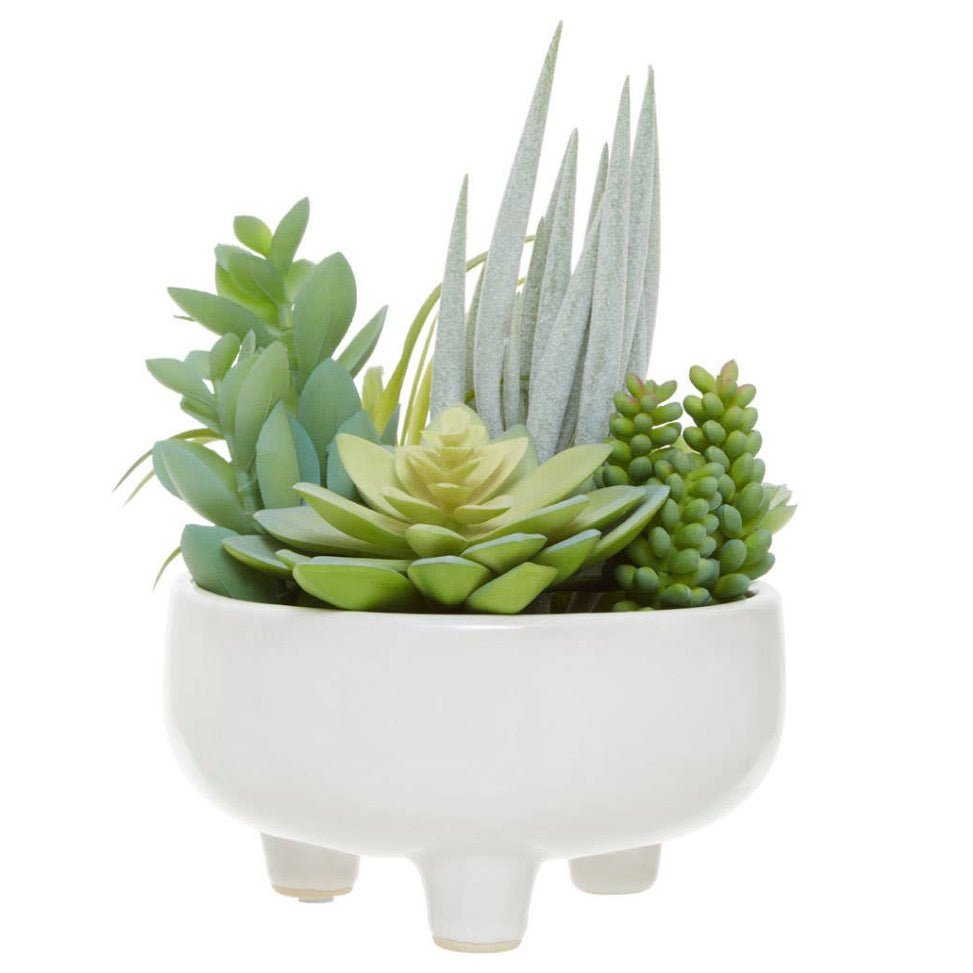 Fiori Mixed Succulents In Large Ceramic Pot1 - Duck Barn Interiors
