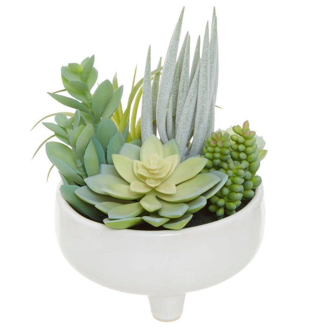 Fiori Mixed Succulents In Large Ceramic Pot3 - Duck Barn Interiors