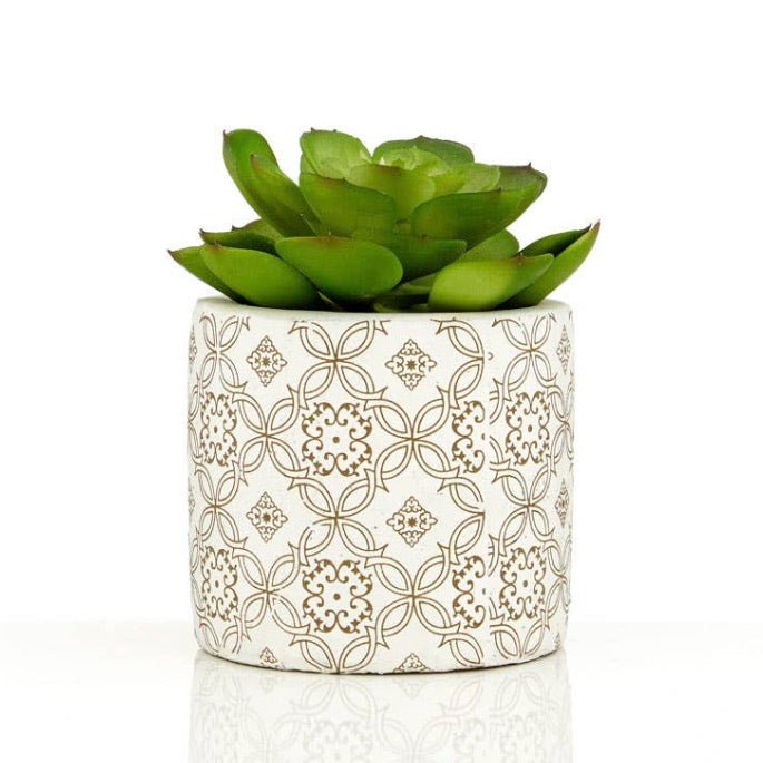 Fiori Set of 3 Succulents in Geometric Design Ceramic Pots3 - Duck Barn Interiors