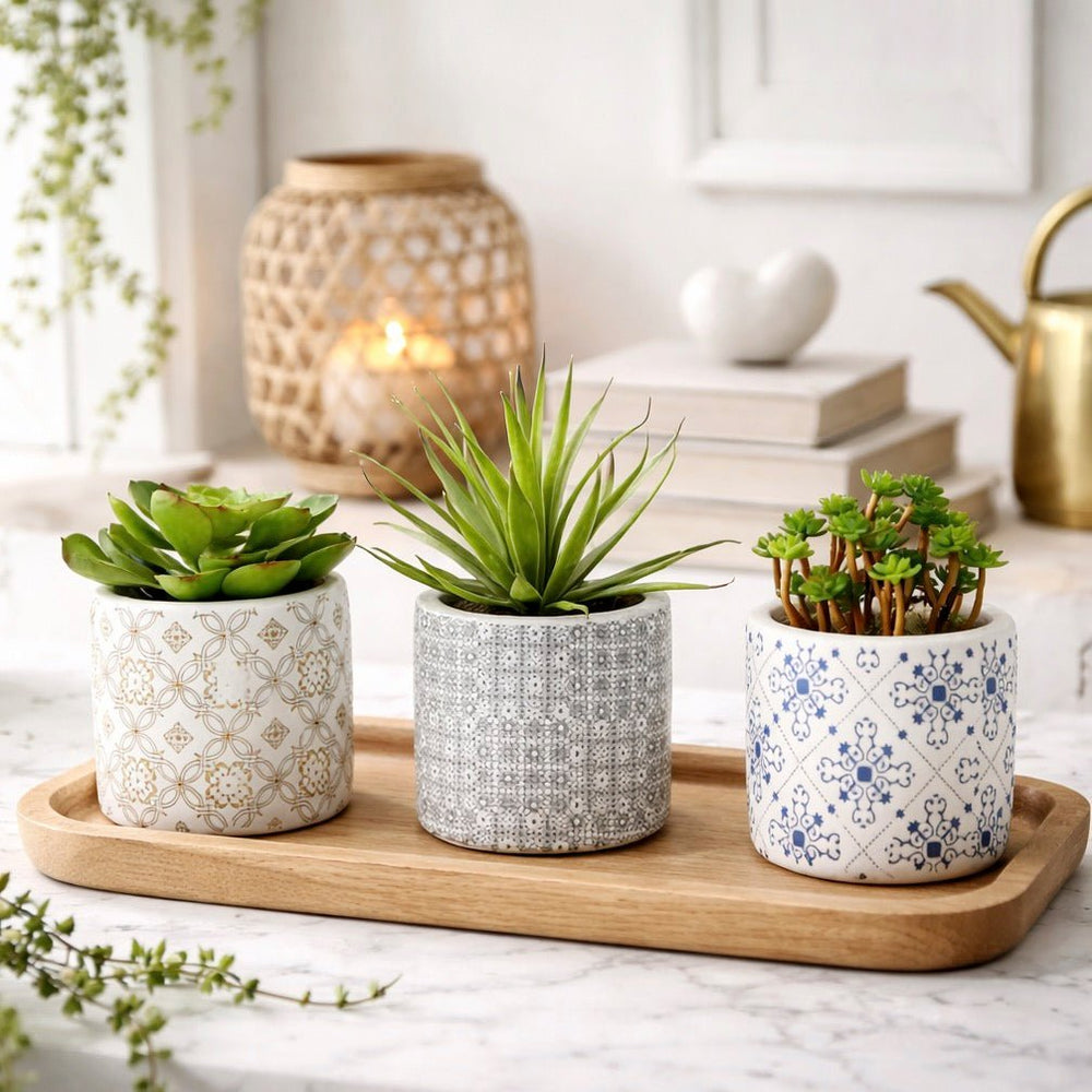 Fiori Set of 3 Succulents in Geometric Design Ceramic Pots2 - Duck Barn Interiors