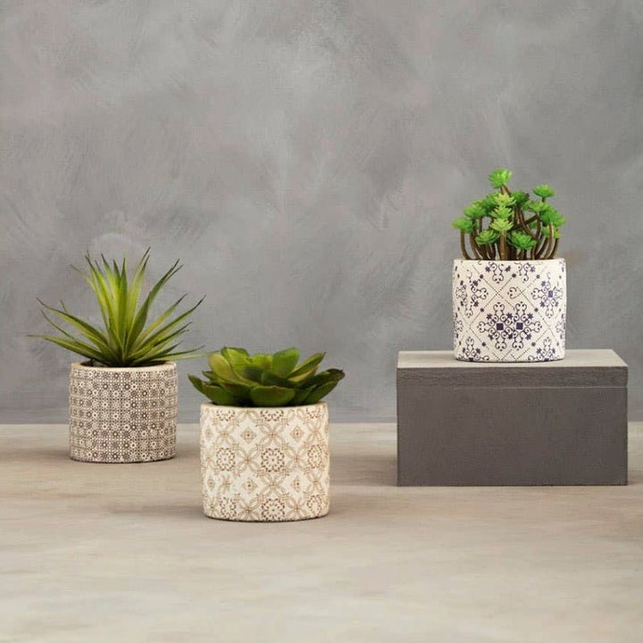 Fiori Set of 3 Succulents in Geometric Design Ceramic Pots5 - Duck Barn Interiors