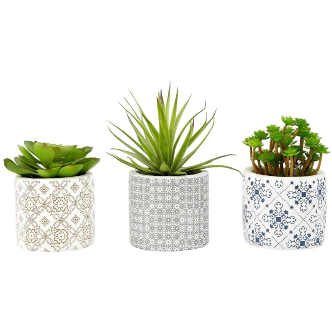 Fiori Set of 3 Succulents in Geometric Design Ceramic Pots1 - Duck Barn Interiors