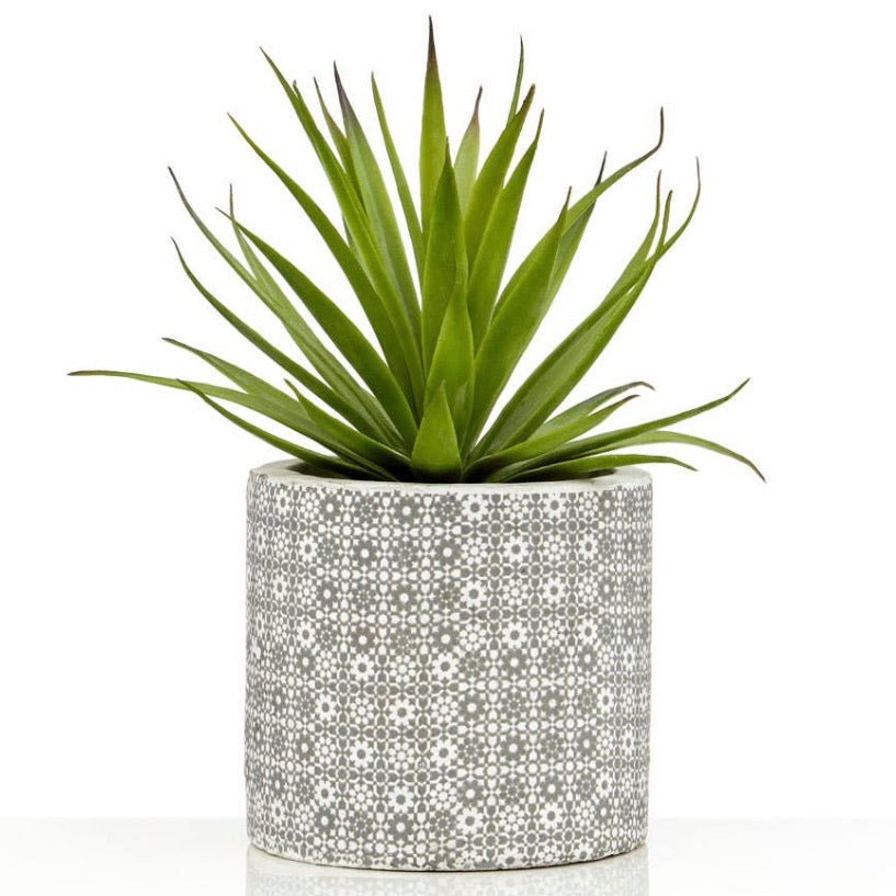 Fiori Set of 3 Succulents in Geometric Design Ceramic Pots4 - Duck Barn Interiors