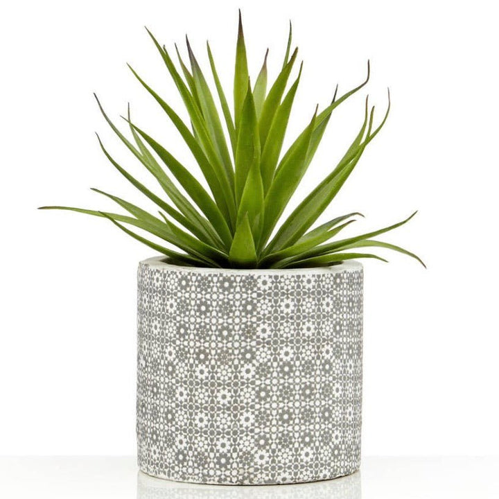 Fiori Set of 3 Succulents in Geometric Design Ceramic Pots4 - Duck Barn Interiors