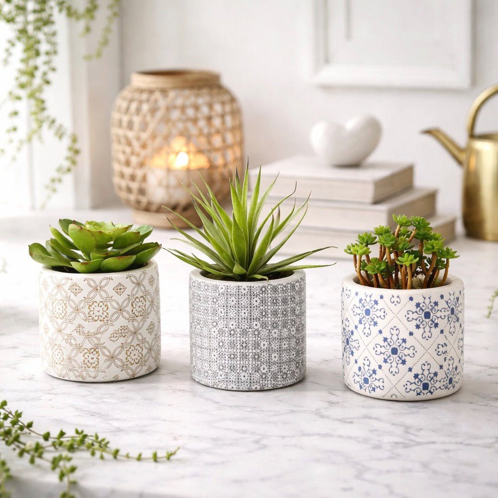 Fiori Set of 3 Succulents in Geometric Design Ceramic Pots1 - Duck Barn Interiors
