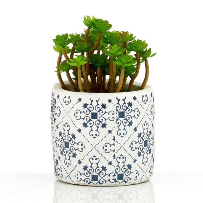 Fiori Set of 3 Succulents in Geometric Design Ceramic Pots2 - Duck Barn Interiors