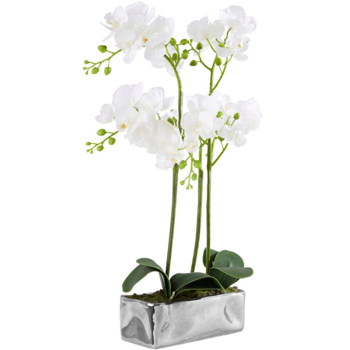 Fiori White Orchid Plant in Rectangular Pot2 - Duck Barn Interiors