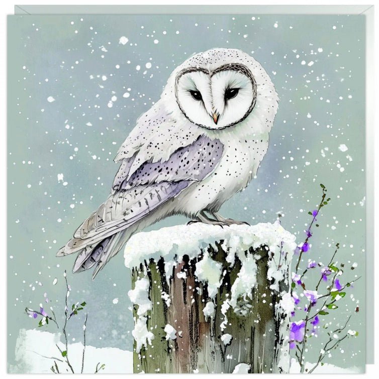 Glimmer Skies Charity Christmas Cards - Pack of 62 - Duck Barn Interiors