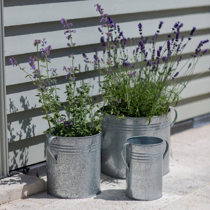 Hailey Galvanised Steel Planters - Set of 32 - Duck Barn Interiors