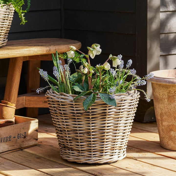 Kingscote Rattan Plant Pot - Natural, 33cm1 - Duck Barn Interiors