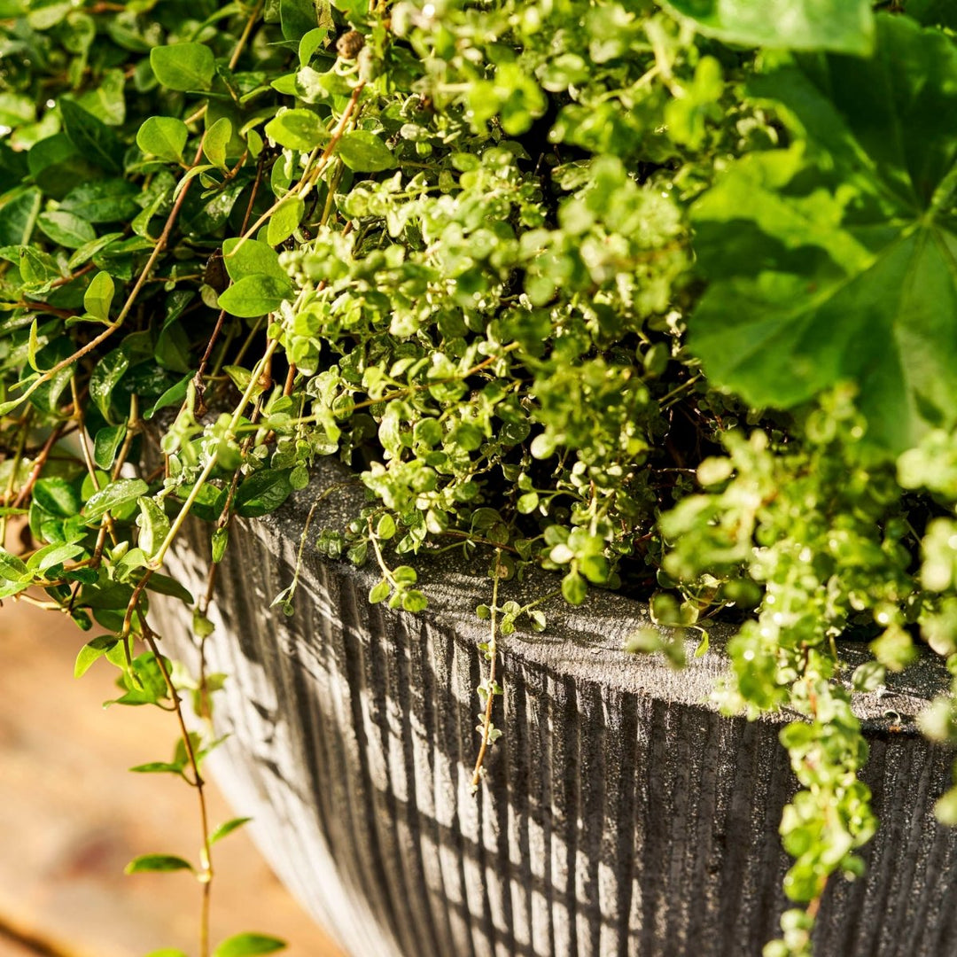 Langley Ficonstone Grey Planter4 - Duck Barn Interiors