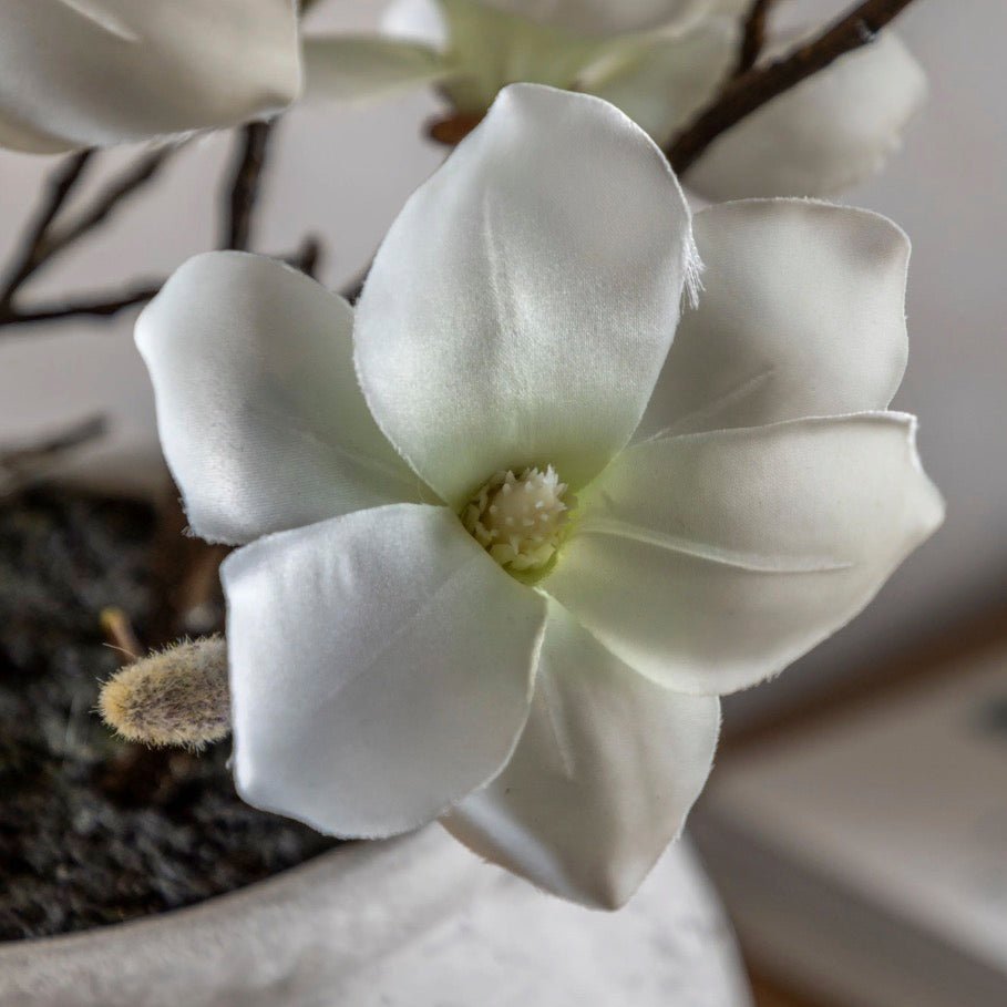 Magnolia Vase Arrangement2 - Duck Barn Interiors