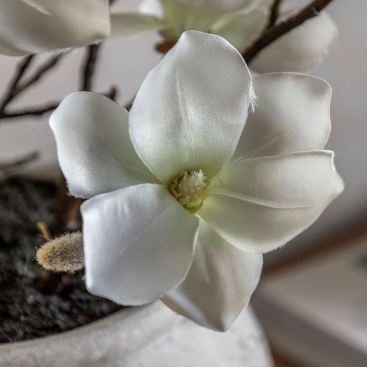 Magnolia Vase Arrangement2 - Duck Barn Interiors
